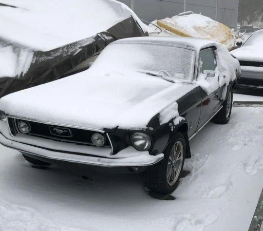 Ford Mustang Gt 1968 129 000 Pln Otoklasyki Pl