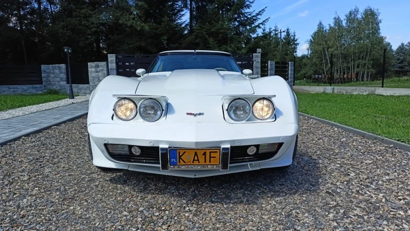 Chevrolet Corvette C3 1979 - zdjęcie dodatkowe nr 14