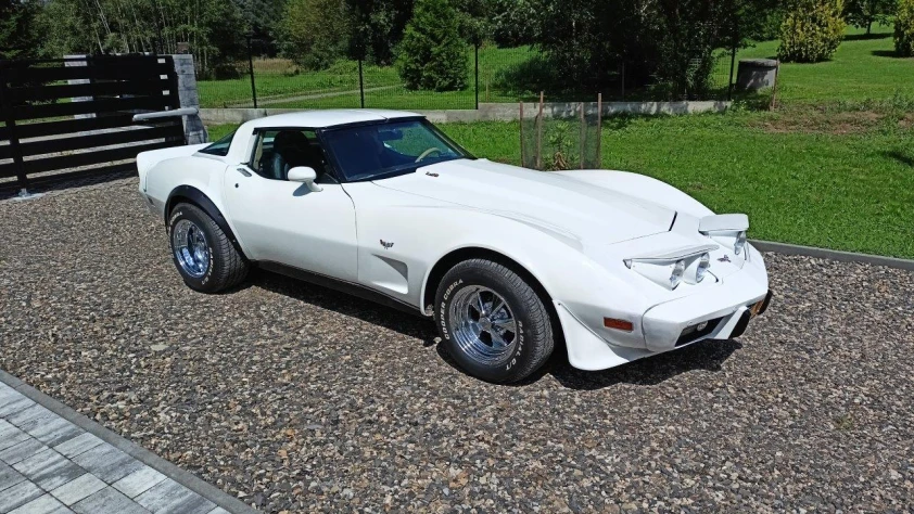 Chevrolet Corvette C3 1979 - zdjęcie dodatkowe nr 27