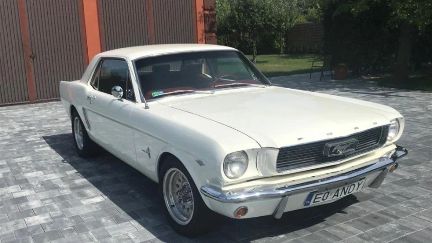 Ford Mustang 1965 - zdjęcie główne