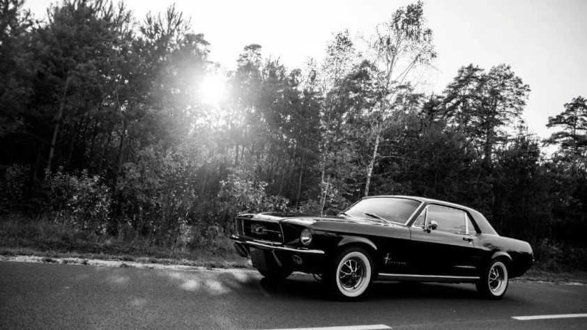 Ford Mustang 1967 - zdjęcie dodatkowe nr 15