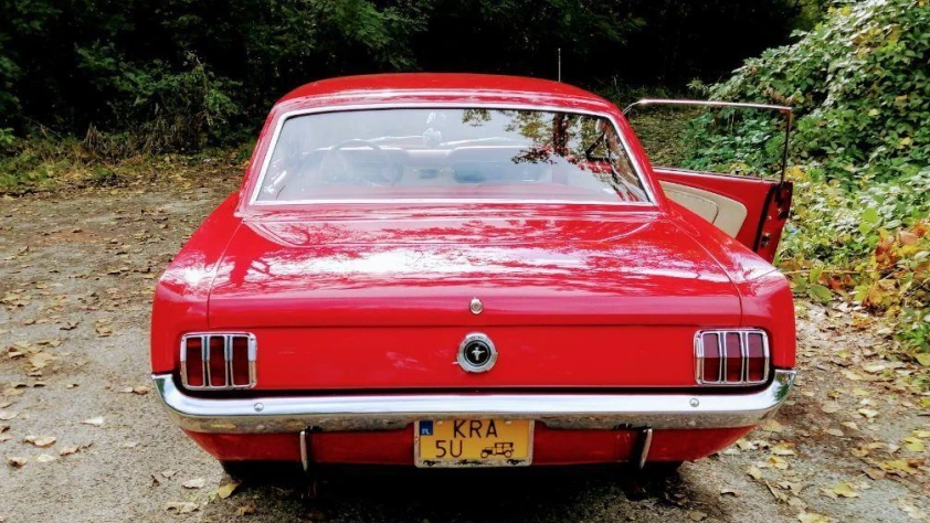 Ford Mustang 1965 - zdjęcie dodatkowe nr 2