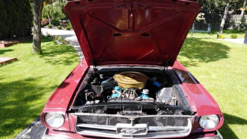 Ford Mustang Coupe 1965 - zdjęcie dodatkowe nr 13