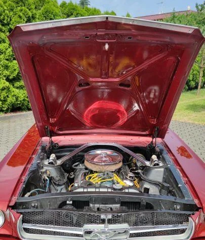 Ford Mustang Coupe 1966 - zdjęcie dodatkowe nr 15