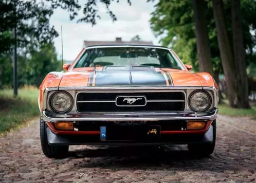 Ford Mustang Grande 1971 - zdjęcie główne