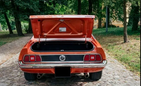 Ford Mustang Grande 1971 - zdjęcie dodatkowe nr 2