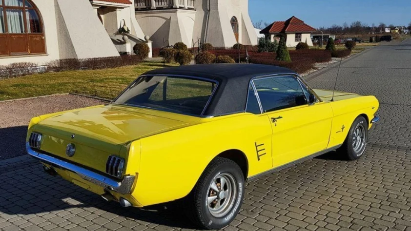 Mustang GT  1966 - zdjęcie dodatkowe nr 8