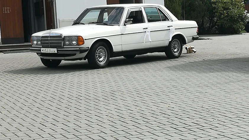 Mercedes W123 1982 - zdjęcie główne