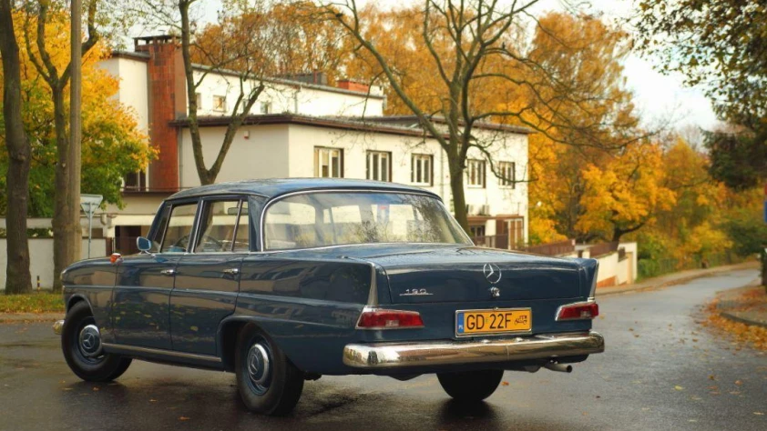 Mercedes W110 1965 - zdjęcie główne