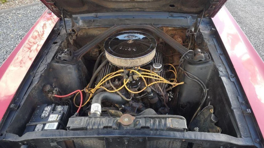 Ford Mustang V8 C Code 1967 - zdjęcie dodatkowe nr 15