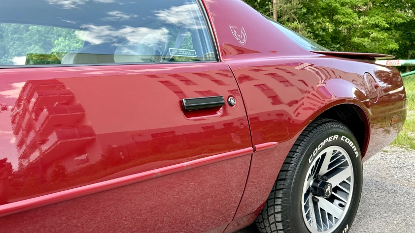 Pontiac Firebird Trans Am 3gen 5.0 V8 TBI 1991 - zdjęcie dodatkowe nr 6