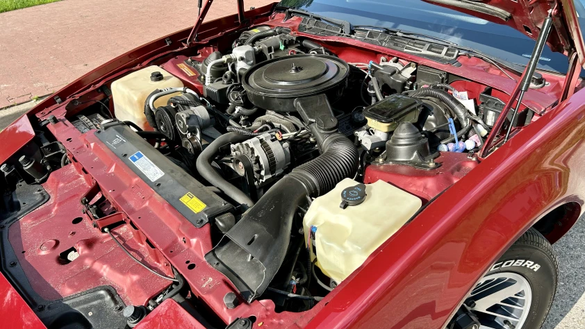 Pontiac Firebird Trans Am 3gen 5.0 V8 TBI 1991 - zdjęcie dodatkowe nr 17