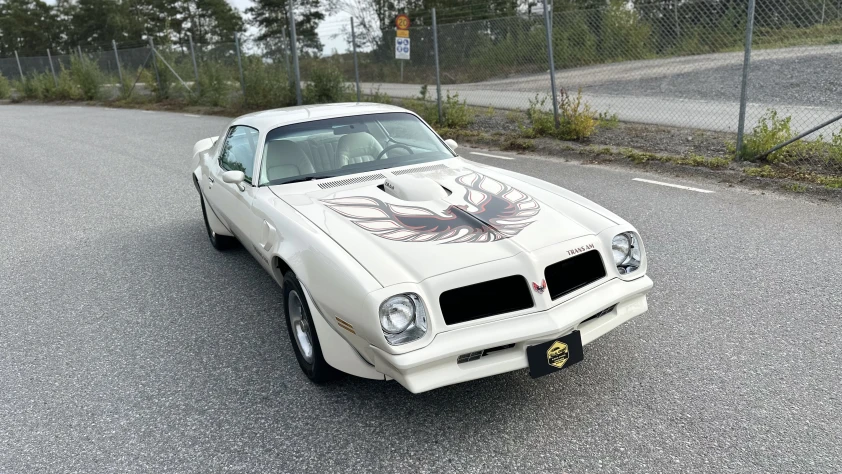 Pontiac Firebird Trans Am T/A 6.6 - 1976