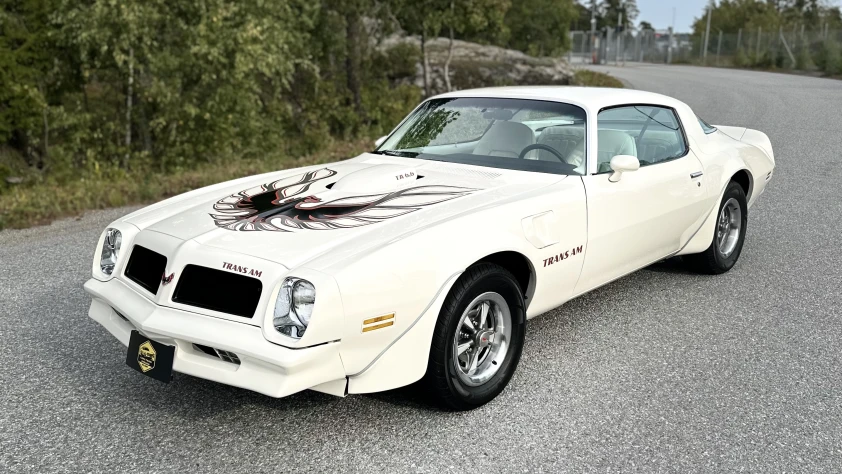 Pontiac Firebird Trans Am T/A 6.6 1976 - zdjęcie dodatkowe nr 7