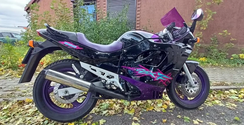 Suzuki GSX GSX-F 600 1995 - zdjęcie główne