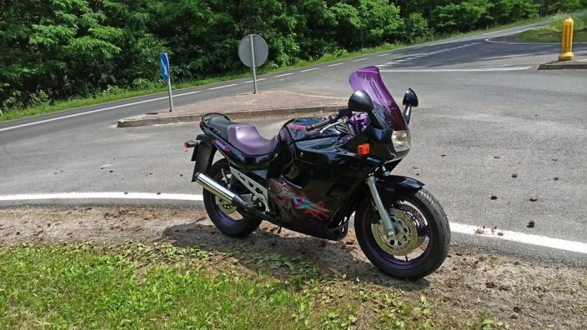 Suzuki GSX GSX-F 600 1995 - zdjęcie dodatkowe nr 1