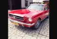 Ford Mustang 1964 - zdjęcie dodatkowe nr 3 miniaturka