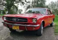 Ford Mustang 1965 - zdjęcie główne miniaturka