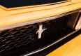 Ford Mustang Mach 1 1973 - zdjęcie dodatkowe nr 7 miniaturka