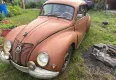 Inne  IFA F9 1954 - zdjęcie dodatkowe nr 6 miniaturka