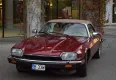 Jaguar XJS  1992 - zdjęcie dodatkowe nr 1 miniaturka