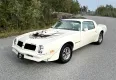 Pontiac Firebird Trans Am T/A 6.6 1976 - zdjęcie dodatkowe nr 7 miniaturka