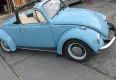 Volkswagen Garbus 1200 cabrio 1969 - zdjęcie dodatkowe nr 1 miniaturka