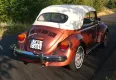 Volkswagen Garbus CABRIO CHAMPAGNE EDITION 2 1978 - zdjęcie dodatkowe nr 9 miniaturka